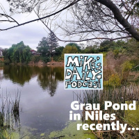 MikesDailyPodcast 2918 Olives