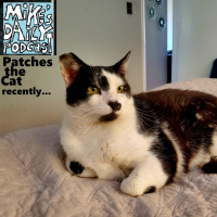 MikesDailyPodcast 3152 Perplexed