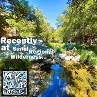 MikesDailyPodcast 2679 Ask