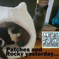 MikesDailyPodcast 2612 Modern