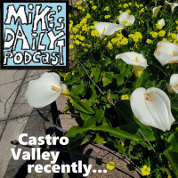 MikesDailyPodcast 3040 Lemons