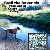 MikesDailyPodcast 2617 Discerning