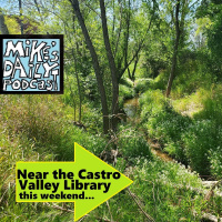 MikesDailyPodcast 2596 Ballast