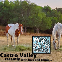 MikesDailyPodcast 2911 Steed