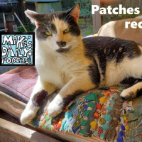 MikesDailyPodcast 2593 Sponge