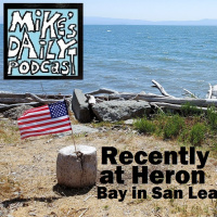 MikesDailyPodcast 2654 Dreamy