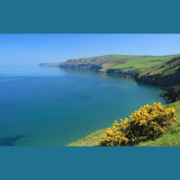 264 – The Lost Rebellion