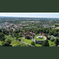 242 – Edward AEtheling at Farnham