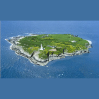 268 – Viking Invasion