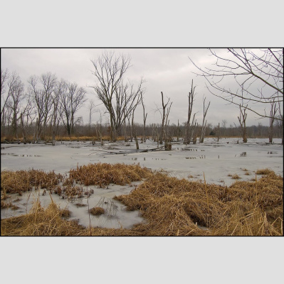 The British History Podcast