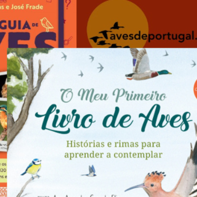 Audio Press Portugal