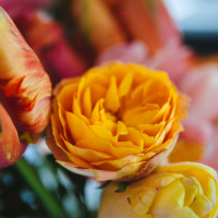 051: Love Language: The emphasis here is on Language.