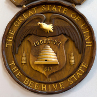 155: A Dating App Newcomer