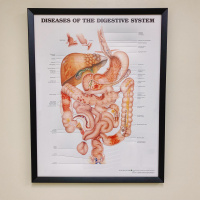 131: Announcements and Bowels