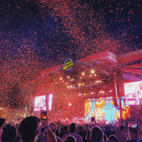 113: Looking for a Plus for Pleats