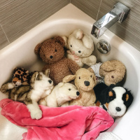 049: Two Haircuts, One Episode: This definitely spirals