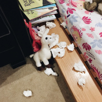 077: Invest in Tissues