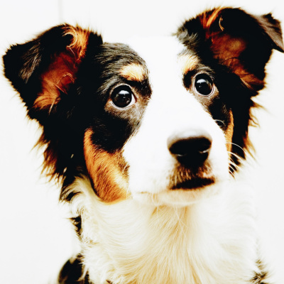 Manic Rambling Spiral