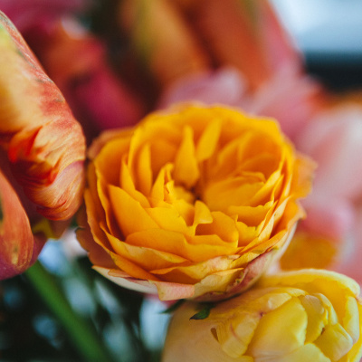 Manic Rambling Spiral