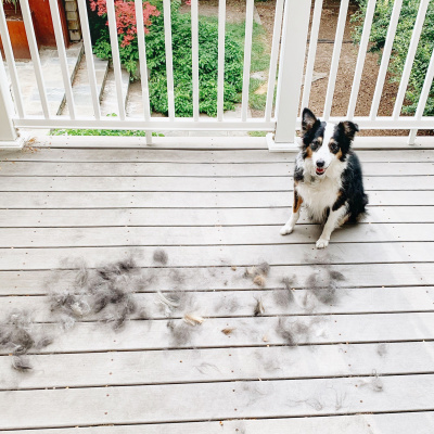 Manic Rambling Spiral