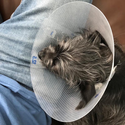 Manic Rambling Spiral