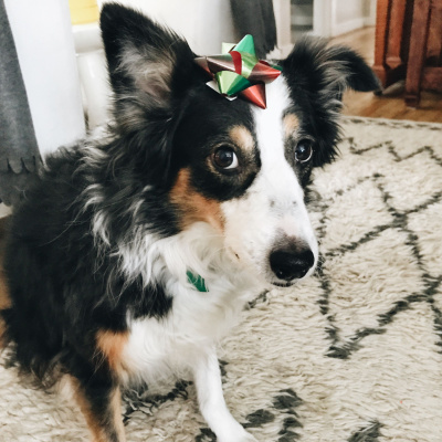 Manic Rambling Spiral