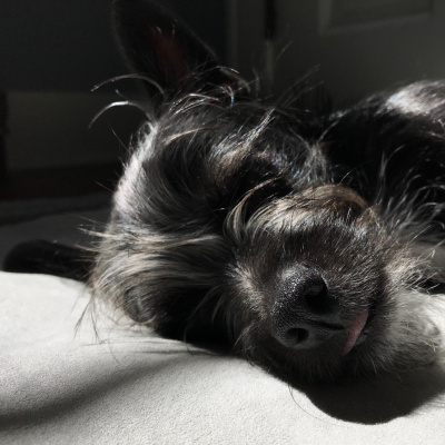 Manic Rambling Spiral