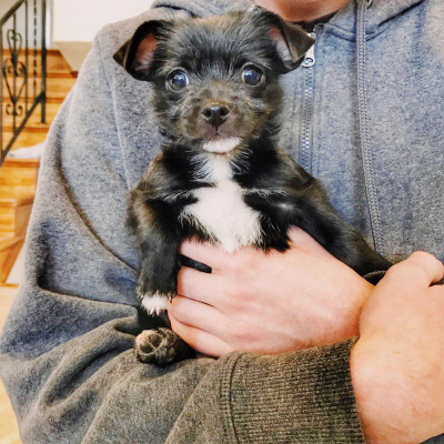 Manic Rambling Spiral