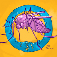 #115 Pra que existem os mosquitos?