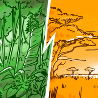 #122 A Amazônia vai virar Savana?