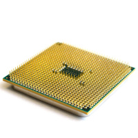 Episode 33 - A Pink Velvet Shark