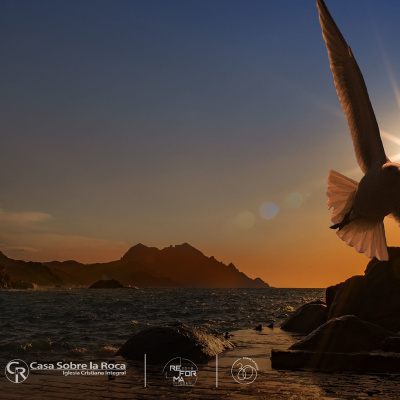 Sabana Norte - Miércoles