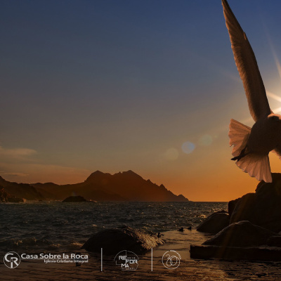 Sabana Norte - Miércoles