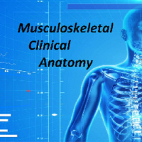 Musculoskeletal Clinical Anatomy