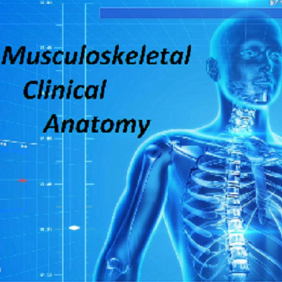 Musculoskeletal Clinical Anatomy
