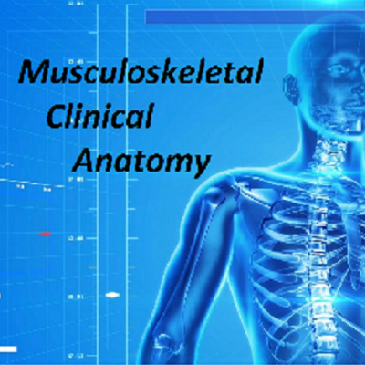 Musculoskeletal Clinical Anatomy