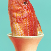 Flugreise ins Glück - oder: Halt doch einfach mal die Fresse