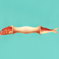 Ab durch die Mitte - oder: Warum zum Teufel schiebst du dir einen Aal in die Vagina?