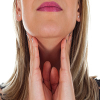 Características de las glándulas salivales