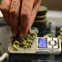 Más trastornos por consumo de marihuana