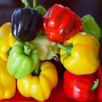 ¿En qué alimentos encuentras los carotenos?