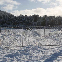 Baby Its Cold Outside: Guest Lizzie Chapman