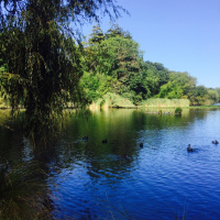 Hello Whanganui On the Road with Stu  Victoria