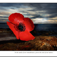 Part 3 Anzac Day Special