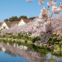 International Spring Festival Palmerston North, NZ
