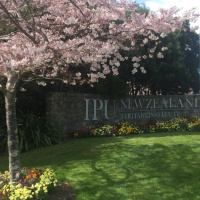 International Spring Festival IPU New Zealand Interviews