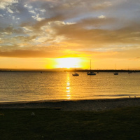 Coffee Chat: Vacation, Vegetables, and Victoria