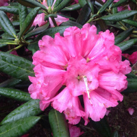 Wednesday Coffee Chat with Stu and Victoria