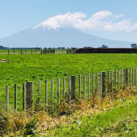 Morning in Taranaki with Stu  Victoria #1