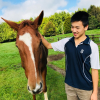 The Farm House Rotoura